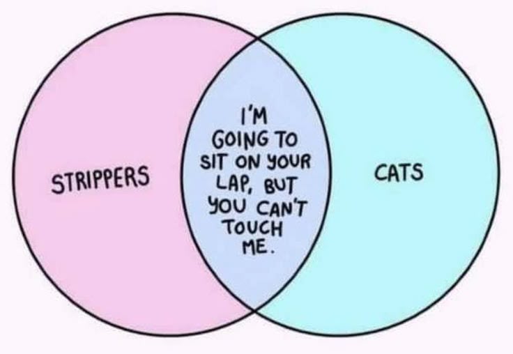 Venn Diagrams cover image